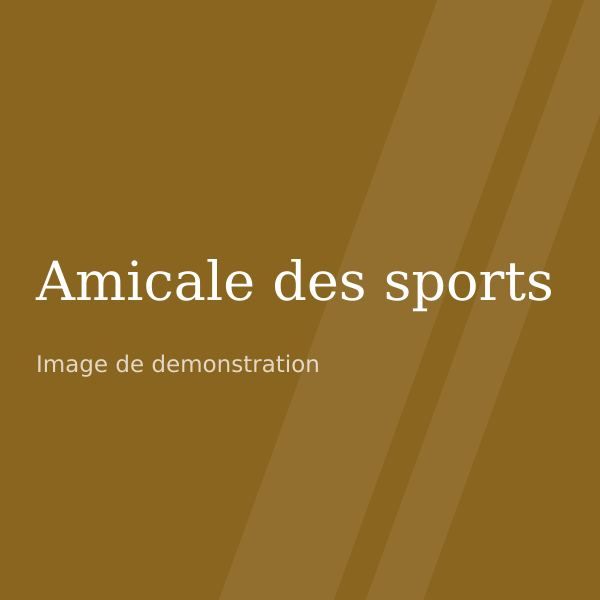 Logo de démonstration de l'association Amicale des sports