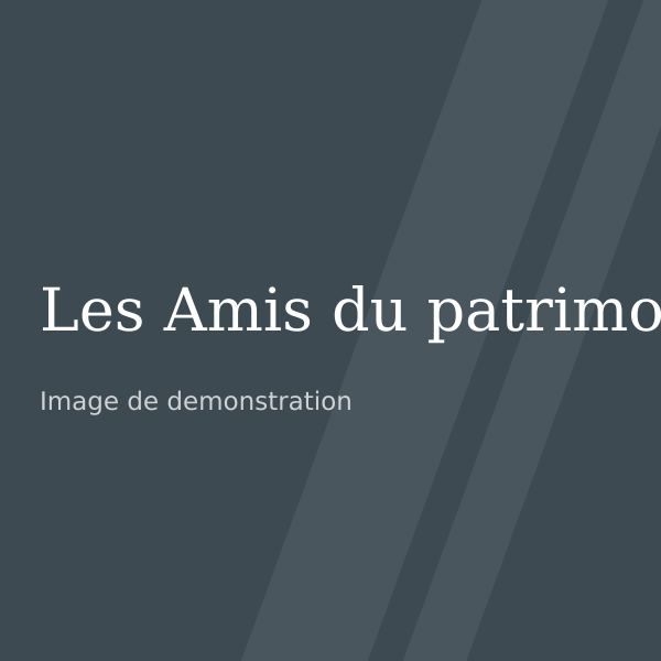 Logo de démonstration de l'association Les Amis du patrimoine