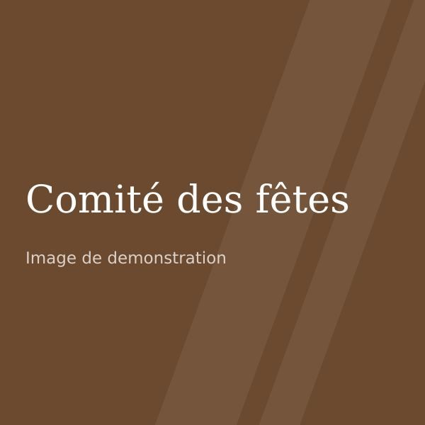 Logo de démonstration de l'association Comité des fêtes