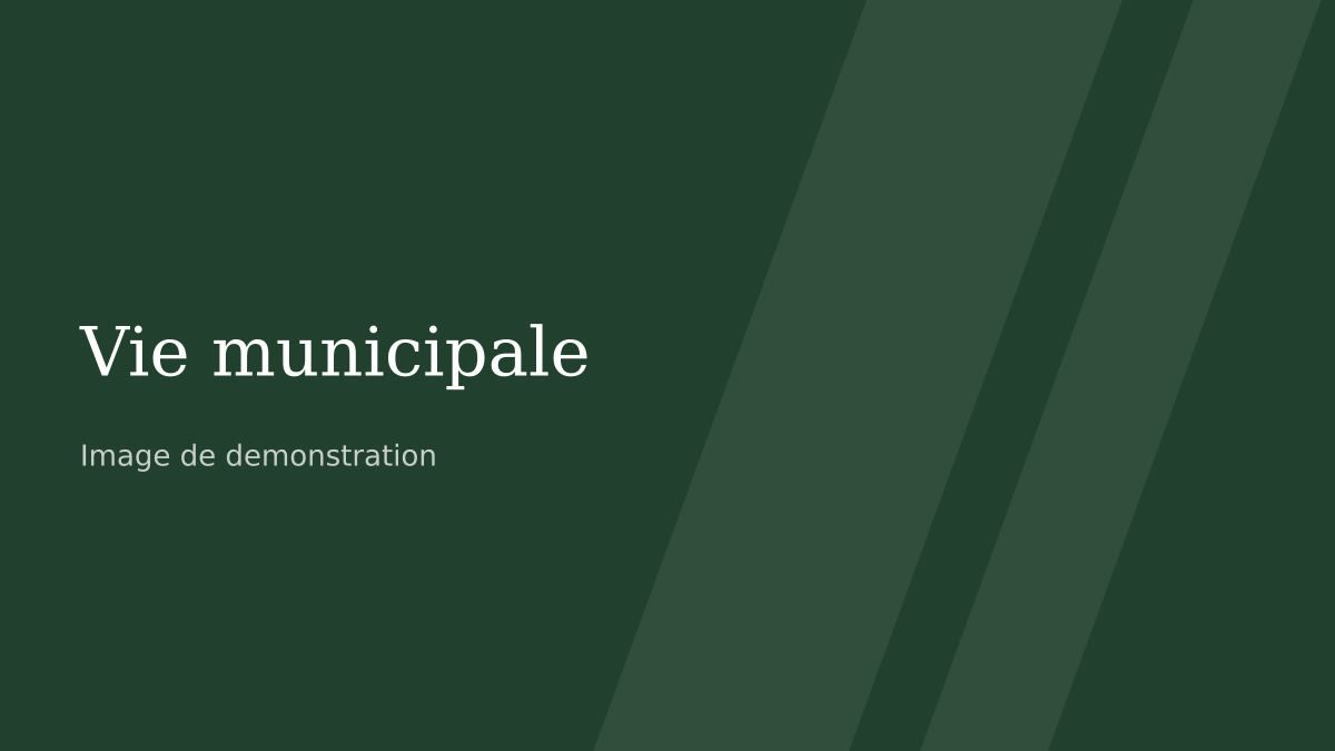 Illustration de démonstration pour la rubrique Vie municipale